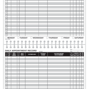 Daily Appointment Record Book (1 Book)